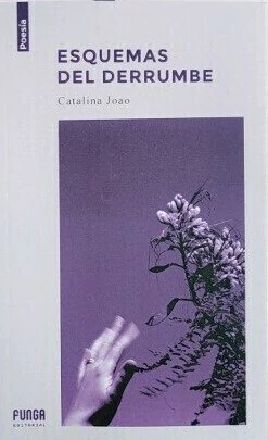 Esquemas del derrumbe, Catalina Joao