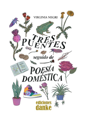 Tres puentes, seguido de Poesía doméstica, Virginia Negri