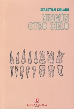 Ningún otro cielo, Sebastián Chilano
