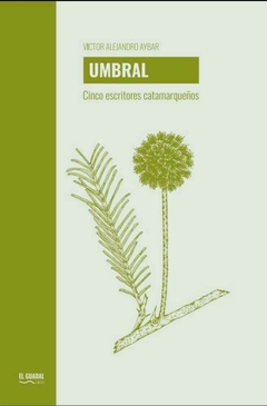 Umbral. Cinco escritores catamarqueños, Víctor Alejandro Aybar