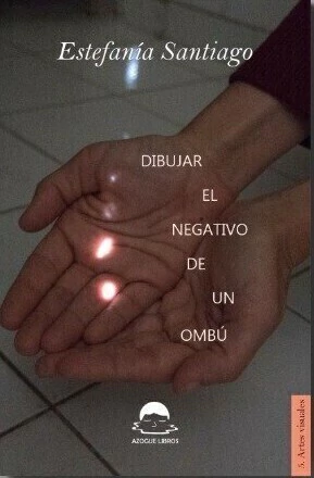 Dibujar el negativo de un ombú, Estefanía Santiago