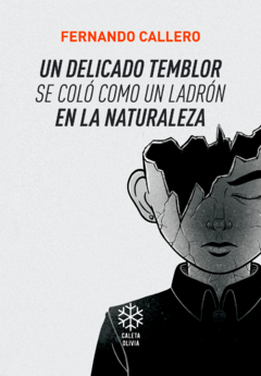 Un delicado temblor se coló como un ladrón en la naturaleza, Fernando Callero