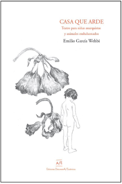 Casa que arde, Emilio García Wehbi