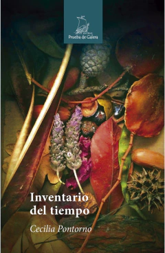 Inventario del tiempo, Cecilia Pontorno