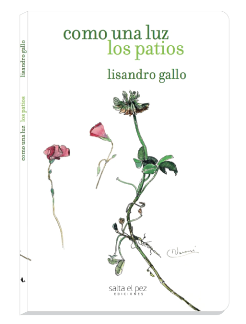 Como una luz los patios, Lisandro Gallo