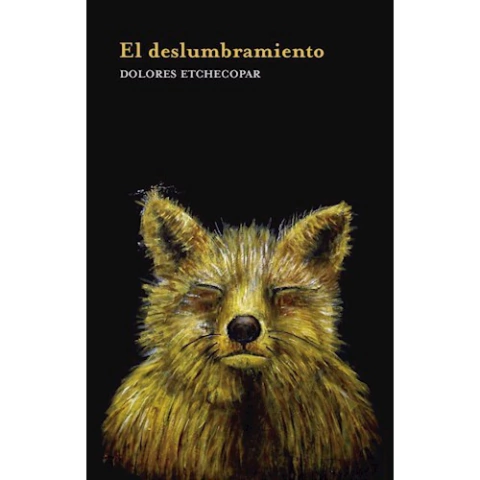 El deslumbramiento, Dolores Etchecopar