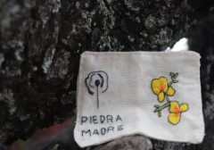 Bordado No toques el paisaje, dejalo sobrevivir - comprar online