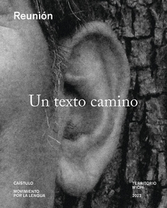 Un texto camino, Caístulo