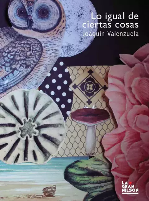 Lo igual de ciertas cosas, Joaquín Valenzuela