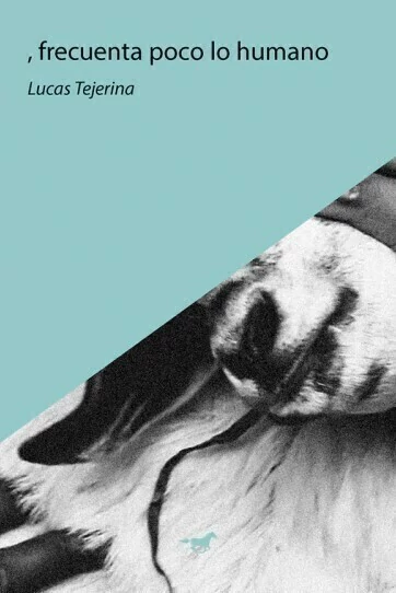 , frecuenta poco lo humano, Lucas Tejerina