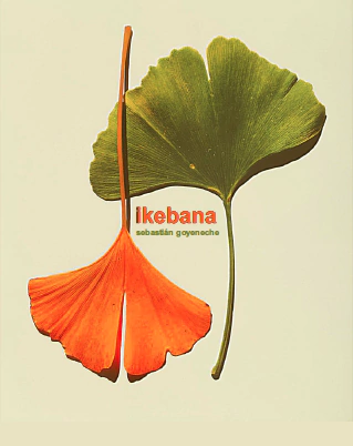 Ikebana, Sebastián Goyeneche