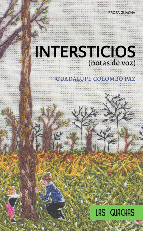 Intersticios, Guadalupe Colombo Paz