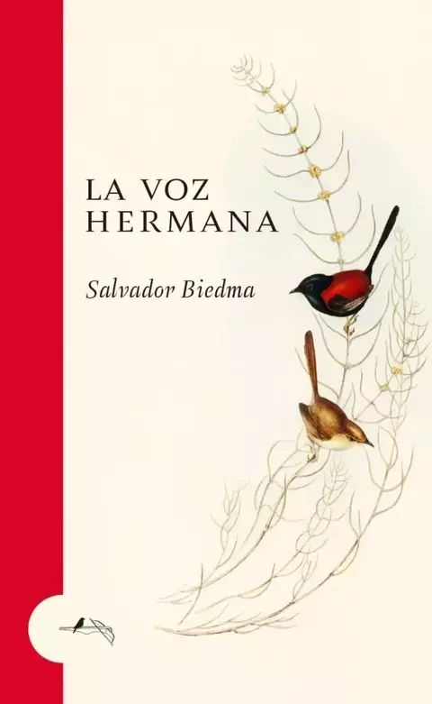 La voz hermana, Salvador Biedma