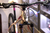 Bicicleta Raleigh 2.0 Mujer Rodado 29 21v Shimano Disco - Bicicleteria Sin Limite 