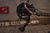 Bicicleta MTB/XC Mosso 2915 Rod 29 2x9v Alivio Frenos Hidraulicos Negro Rojo Blanco