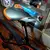Bicicleta Rod 29" Venzo Skyline Evo Shadow Shimano 21 Vel Disco Mecánico - Bicicleteria Sin Limite 