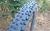 Cubiertas Bicicleta MTB Schwalbe Racing Ralph R29 - Bicicleteria Sin Limite 