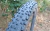 Cubiertas Bicicleta MTB Schwalbe Racing Ralph R29 - Bicicleteria Sin Limite 