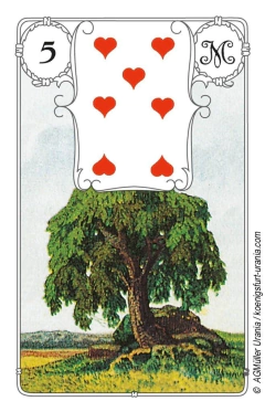 Coruja Azul Lenormand na internet