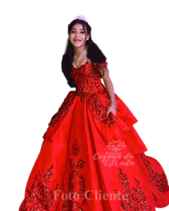 Vestido Luxo - comprar online