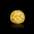 Anel Pitbull 3D - Moeda antiga - Banhado a ouro 18K - Garantia eterna na cor - Valle ® | N.º 1 em joias banhadas a ouro 18K