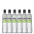 SERNOVA SWEET APPLE PEAR 700 X 6
