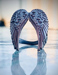 Anillo alas en internet