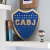 Medium Mirrored Shield Boca on internet