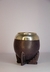 Mate Torpedo Deluxe
