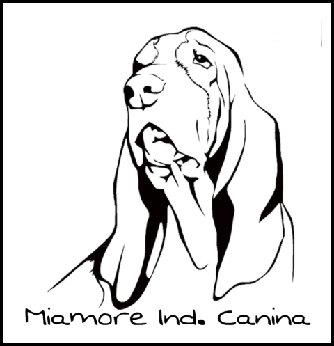 miamore