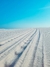 LENÇÓIS MARANHENSES 2025 na internet
