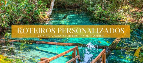 Carrossel 1