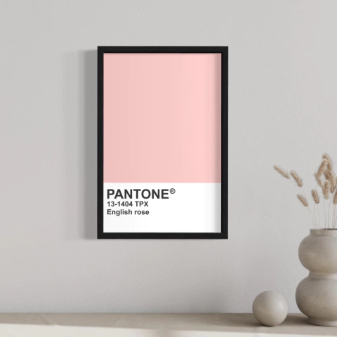 Con Marco - Pantone English Rose