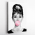 Canvas - Audrey Chicle Rosa
