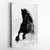 Canvas - Caballo Negro