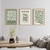 Set 3 con Marco - Matisse Cut Outs Verde