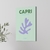 Canvas - Capri 2