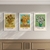 Set 3 con Marco - Vasijas Van Gogh en internet
