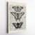 Canvas - Mariposas Vintage