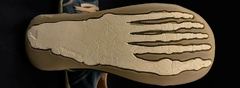 Banner de la categoría Barefoot