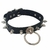Kit 4 Itens - Rabo de Raposa com Tiara de Orelhas - Grampos para os seios em Metal e Gargantilha - comprar online