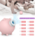 Piggy Sugador de Clitoris Estimulador - Ponto Sexcreto