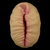 Masturbador em formato de Vagina de Alienígena - Alien’s Pie Masturbator - comprar online