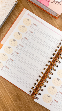 Planner 2025 - A5 - Datado - O agir de Deus - comprar online
