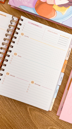 Planner 2025 - A5 - Datado - Lunar - comprar online