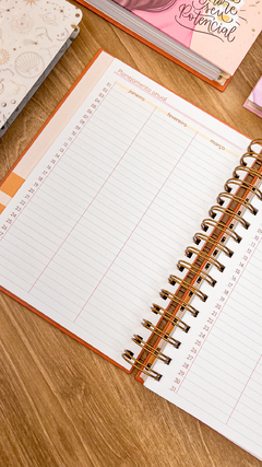 Planner 2025 - A5 - Datado - Não ignore seu potencial - Papelaria Ananda