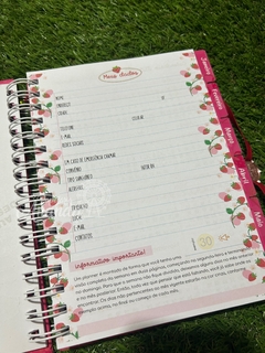 Planner moranguinho 2025 - Papelaria Ananda - Papelaria Ananda