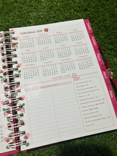 Planner moranguinho 2025 - Papelaria Ananda - loja online