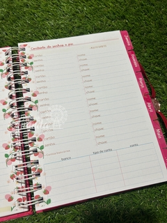 Planner moranguinho 2025 - Papelaria Ananda