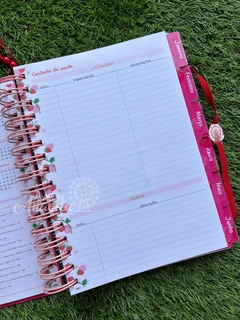Agenda Moranguinho 2025 - Papelaria Ananda - comprar online